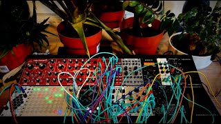 Overbanked  Modular Perfomance [upl. by Alemac608]