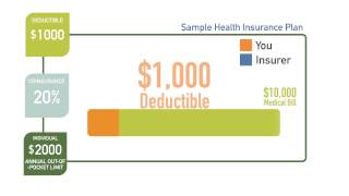 Health Benefits 101  What is a deductible coinsurance and outofpocket max [upl. by Aciruam]