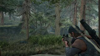 DAYS GONE Survival II Playthrough Part 3 No Starving Patriots and Smoke on the Mountain [upl. by Darcy]