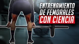 El mejor entrenamiento para femorales  CIENTÍFICAMENTE COMPROBADO [upl. by Dnomyaw]