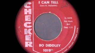 Bo Diddley  I Can Tell [upl. by Ecirtaed]