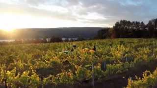 Finger Lakes Above The Vines [upl. by Idroj]