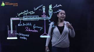 Transpiration Class 10 ICSE  Biology  Shyamco Grassroots  Class 10 [upl. by Rabush135]