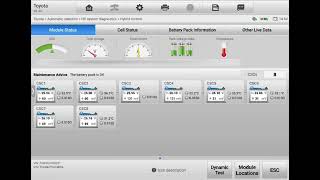 Pre purchase inspection in New Zealand Toyota hybrid 🔋 discharge test wwwincarautomotiveconz [upl. by Gold]