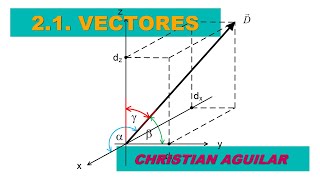 21 Vectores [upl. by Seabrook]