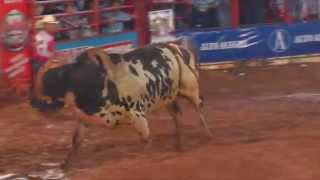 Final rodeio de Colorado  PR 2014 com Almir Cambra [upl. by Sined]