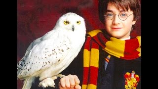 Hedwigs Theme Harry Potter  Virtuosic piano Vasco Dantas  J Radnich [upl. by Seldun]