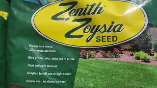 zenith zoysia grass seed [upl. by Hauger]