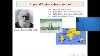 La biologie évolutive humaine  Carla Aimé [upl. by Ravi]