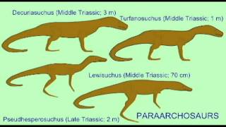 PL EXAM 2 THECODONT DESCENDANTSavi [upl. by Anelle]