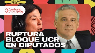 quotDe Loredo perdió la vergüenza y se calzó la pelucaquot Ruptura del bloque de la UCR DeAcáEnMás [upl. by Hannah]