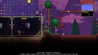 Lollygagging at its finest  Terraria [upl. by Ociredef84]