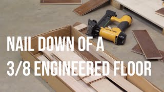 How to Nail Down an Engineered Wood Floor ReallyCheapFloorscom Install Series [upl. by Lorelle]