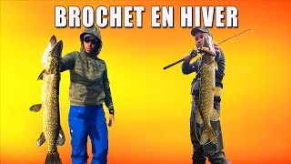 Comment Pêcher le Brochet en Hiver   Riverking [upl. by Teeniv]