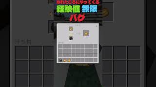 マイクラ 忘れたころにやってくる経験値バグ shorts [upl. by Eran509]