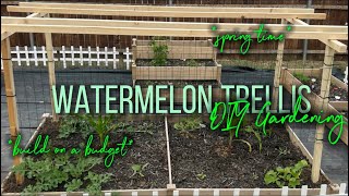 Building a Watermelon Trellis Under 50  Growing Watermelon watermelon trellis diygarden [upl. by Erdreid415]