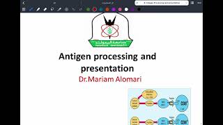 Immunology L8 C1C2 Antigen processing amp presentation P1 [upl. by Meelak]