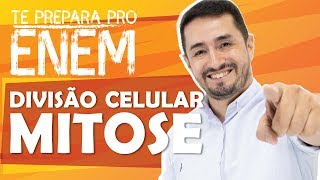 DIVISÃO CELULAR INTERFASE E MITOSE  PONTOS DE CHECAGEM  CANCER [upl. by Decca]