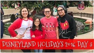 DISNEYLAND HOLIDAYS 2016 DAY 3  December 11 2016 [upl. by Kellyn]