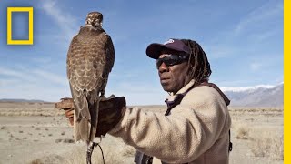 Hunting With Falcons How One City Man Found His Calling in the Wild  Short Film Showcase [upl. by Hayikat827]