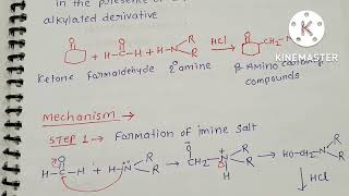 mannich reaction [upl. by Leia]