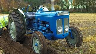 1964 Fordson Super Dexta 25 Litre 3Cyl Diesel Tractor With Ransomes Plough [upl. by Haikan369]