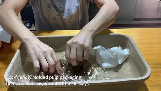 Biodegradability Test Paper Pulp Molded Products [upl. by Devonna]