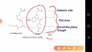 Medicinal chemistry 2 KFU NSAIDS part 1 [upl. by Brendin]