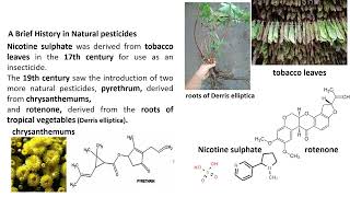 Natural Pesticides for PharmD students Oct 2024 [upl. by Utica]