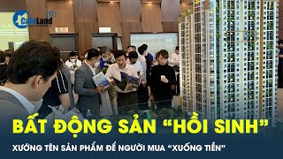 Bất động sản phục hồi sau giai đoạn xuống đáy đất nền vẫn là “vua”  CafeLand [upl. by Preiser]