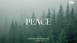 PEACE  Soaking worship instrumental  Prayer and Devotional [upl. by Asoramla]