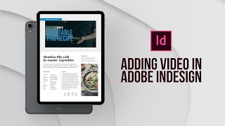 How to add videos to an interactive layout in Adobe InDesign [upl. by Romain]