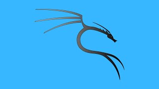 Kali Linux Live USB [upl. by Britni]