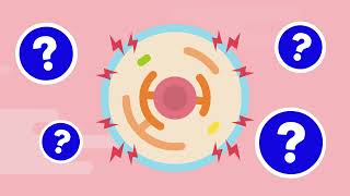 Emerging Therapeutics for APOL1Mediated Kidney Disease [upl. by Charpentier]