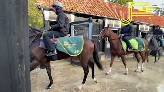 Newmarket Gallops 141023  Julia Feilden Racing [upl. by Hehre]