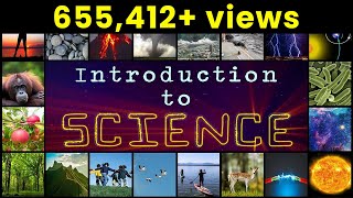 What is Science  Introduction To Science  Definition of science  Types of science  Letstute [upl. by Haldan]