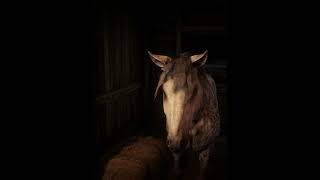 Top1 FASTER Horse Than Arabains Location amp Rankings  RDR2Brindle Thoroughbred Horse shorts rdr2 [upl. by Nnyleitak]