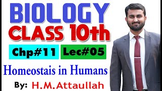 Homeostasis in Humans  Chapter  11  Biology Class 10th  Lec5 [upl. by Silverman]