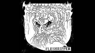 Fleshripper  ST Full Album Stream [upl. by Nanfa34]