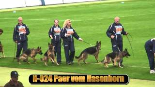 2010 SV BSZS NKGR part 16 Paer vom Hasenborn HD [upl. by Amsed]