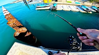 Key West Shore Fishing Spot Tour  Underwater [upl. by Mcmillan]