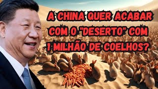 Porque a China deixou 12 milhões de coelhos no deserto [upl. by Adaminah198]