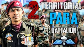 2 Territorial PARA Battalion Details  AN Defence [upl. by Nnep]