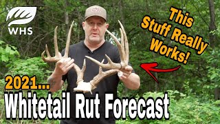 2021 Whitetail Rut Forecast [upl. by Nahamas]