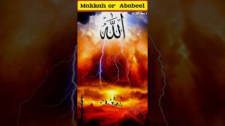 Makkah or Ababeel🕊️shorts facts ababeel viralvideo islamicstatus islamic [upl. by Pacifica]