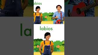 Conoce palabras por la letra L de León 🦁 123andres musicainfantil shortsvideo kidsvideo shorts [upl. by Nigel]