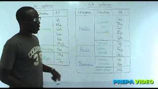 Biochimie cours acides aminés polaire et apolaire [upl. by Rabah917]