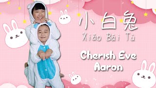 小白兔 Xiǎo Bái Tù White Rabbit  Song Cover by Cherish Eve and Aaron [upl. by Rahcir897]