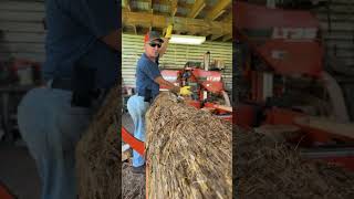 Woodmizer LT35 sawmill used to lift hardwood logs [upl. by Ender]