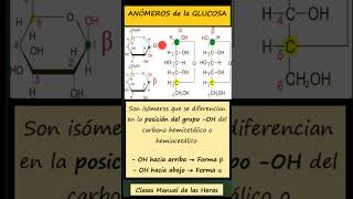 Anómeros alfa y beta de la glucosa Isomería en los Monosacáridos Biología 2º Bachillerato [upl. by Eustache]